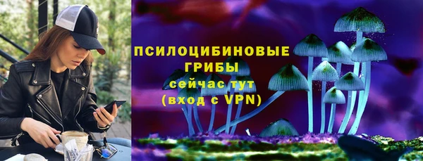 спиды Медвежьегорск